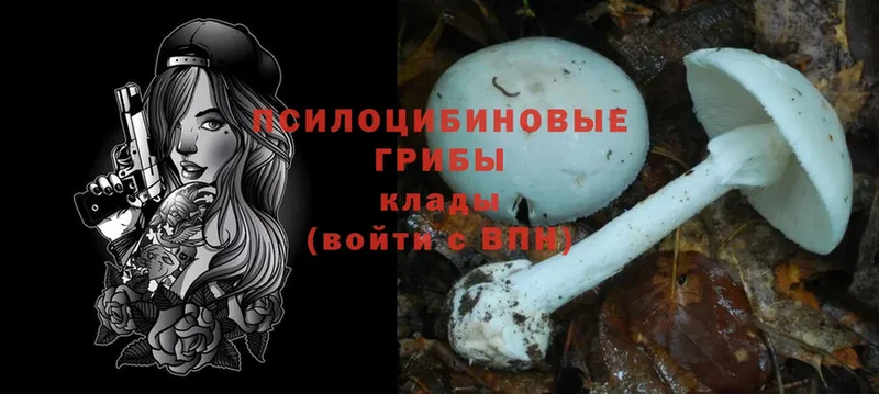 Галлюциногенные грибы Psilocybine cubensis  Разумное 